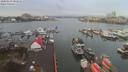 ./images/victoria/wharf/20200103/wharf20200103_085452.jpg