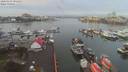 ./images/victoria/wharf/20200103/wharf20200103_094449.jpg