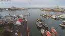 ./images/victoria/wharf/20200103/wharf20200103_094952.jpg