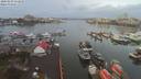 ./images/victoria/wharf/20200103/wharf20200103_110954.jpg