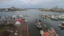 ./images/victoria/wharf/20200103/wharf20200103_144454.jpg