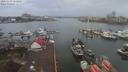 ./images/victoria/wharf/20200103/wharf20200103_150958.jpg
