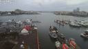 ./images/victoria/wharf/20200103/wharf20200103_152457.jpg