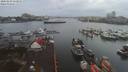 ./images/victoria/wharf/20200103/wharf20200103_152949.jpg