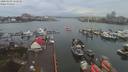 ./images/victoria/wharf/20200103/wharf20200103_155452.jpg