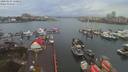 ./images/victoria/wharf/20200103/wharf20200103_160458.jpg