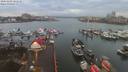 ./images/victoria/wharf/20200103/wharf20200103_161453.jpg