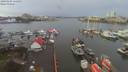 ./images/victoria/wharf/20200104/wharf20200104_114954.jpg