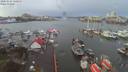 ./images/victoria/wharf/20200104/wharf20200104_115950.jpg