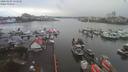 ./images/victoria/wharf/20200104/wharf20200104_132951.jpg