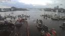 ./images/victoria/wharf/20200104/wharf20200104_141950.jpg