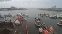 ./images/victoria/wharf/20200105/wharf20200105_095455.jpg