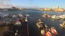 ./images/victoria/wharf/20200105/wharf20200105_112457.jpg