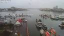 ./images/victoria/wharf/20200106/wharf20200106_092448.jpg