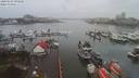 ./images/victoria/wharf/20200106/wharf20200106_092950.jpg