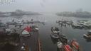 ./images/victoria/wharf/20200106/wharf20200106_115450.jpg