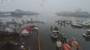./images/victoria/wharf/20200106/wharf20200106_120958.jpg