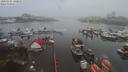 ./images/victoria/wharf/20200106/wharf20200106_140455.jpg