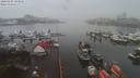 ./images/victoria/wharf/20200106/wharf20200106_144457.jpg