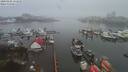 ./images/victoria/wharf/20200106/wharf20200106_151453.jpg