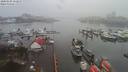 ./images/victoria/wharf/20200106/wharf20200106_152459.jpg