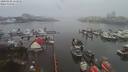 ./images/victoria/wharf/20200106/wharf20200106_155453.jpg