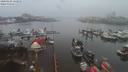 ./images/victoria/wharf/20200106/wharf20200106_161957.jpg