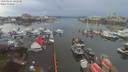 ./images/victoria/wharf/20200107/wharf20200107_131457.jpg