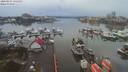 ./images/victoria/wharf/20200107/wharf20200107_135450.jpg