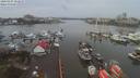 ./images/victoria/wharf/20200107/wharf20200107_151453.jpg