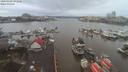 ./images/victoria/wharf/20200108/wharf20200108_092954.jpg