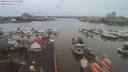 ./images/victoria/wharf/20200108/wharf20200108_102453.jpg