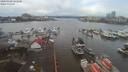 ./images/victoria/wharf/20200108/wharf20200108_121452.jpg