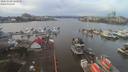 ./images/victoria/wharf/20200108/wharf20200108_122950.jpg