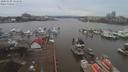 ./images/victoria/wharf/20200108/wharf20200108_134451.jpg