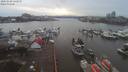 ./images/victoria/wharf/20200108/wharf20200108_141950.jpg