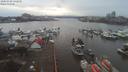 ./images/victoria/wharf/20200108/wharf20200108_142452.jpg