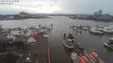 ./images/victoria/wharf/20200108/wharf20200108_142955.jpg