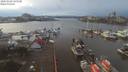 ./images/victoria/wharf/20200108/wharf20200108_145450.jpg