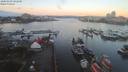 ./images/victoria/wharf/20200109/wharf20200109_081948.jpg