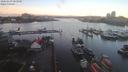 ./images/victoria/wharf/20200109/wharf20200109_085459.jpg