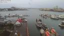 ./images/victoria/wharf/20200110/wharf20200110_092950.jpg