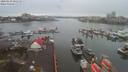 ./images/victoria/wharf/20200130/wharf20200130_082456.jpg