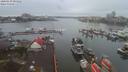 ./images/victoria/wharf/20200130/wharf20200130_083956.jpg