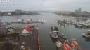 ./images/victoria/wharf/20200130/wharf20200130_084459.jpg