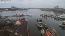 ./images/victoria/wharf/20200130/wharf20200130_084952.jpg