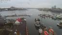 ./images/victoria/wharf/20200130/wharf20200130_085455.jpg