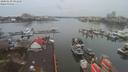 ./images/victoria/wharf/20200130/wharf20200130_090955.jpg