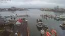 ./images/victoria/wharf/20200130/wharf20200130_092957.jpg