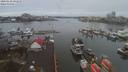 ./images/victoria/wharf/20200130/wharf20200130_093953.jpg